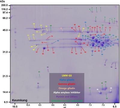 Proteomic Profiling and Epitope Analysis of the Complex α-, γ-, and ω-Gliadin Families in a Commercial Bread Wheat